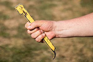 Close-up of a beekeeper's hand holding a hive tool (48414383032)