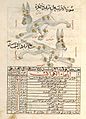 Constellation lièvre - al-Sufi