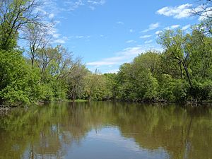 Des Plaines River Lake County Illinois