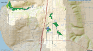 Downtown Kirkland National Map with wetlands.png