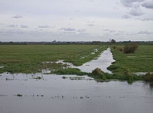 Drain across the Ouse Washes looking SE - geograph.org.uk - 591323