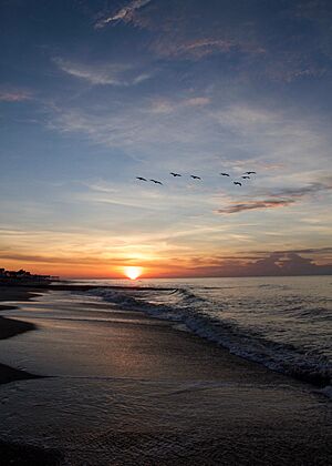 Edisto Beach, South Carolina (48339141937)