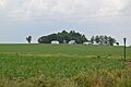 Emerald Mound from south