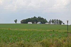 Emerald Mound from south
