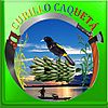 Official seal of Curillo