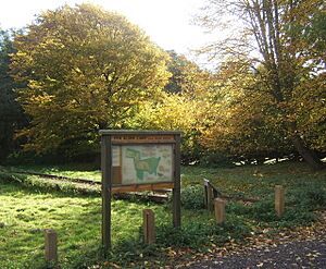 Fen Alder Carr local nature reserve - geograph.org.uk - 597915