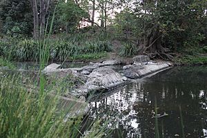 Foundations of the weir at Enoggera Creek, St Johns Wood