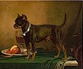 Frederick August Wenderoth 1875, Little Terrier