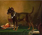 Frederick August Wenderoth 1875, Little Terrier