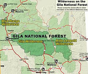 Gila-Aldo Leopold Wilderness