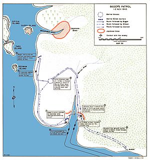 Guppy Island raid Choiseul map