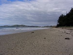 The beach at Hampden looking south
