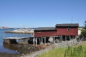 HantsHarbourNL CustardHeadFishingPremises