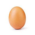 Instagram egg