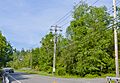 Intersection of NY 208 and Captain Carpenter Road, South Blooming Grove
