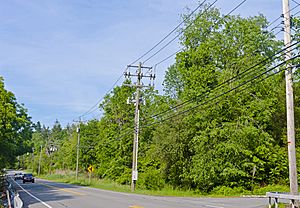 Intersection of NY 208 and Captain Carpenter Road, South Blooming Grove