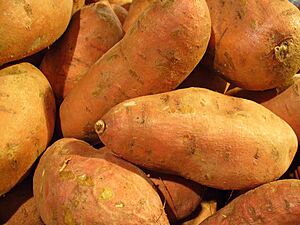 Ipomoea batatas 006