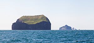 Islas Suðurey, Hellisey, Súlnasker y Geldungur, Islas Vestman, Suðurland, Islandia, 2014-08-17, DD 047