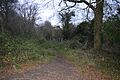 Landpark Wood 3