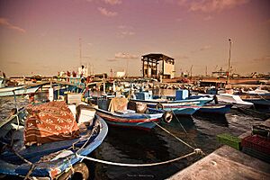 Misrata Sea fishing port