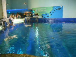 Mississippi Aquarium indoor exhibits