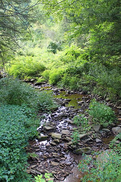 Moneypenny Creek 1