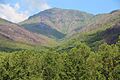 Mount LeConte viewed from Carlos Campbell Overlook, May 2017