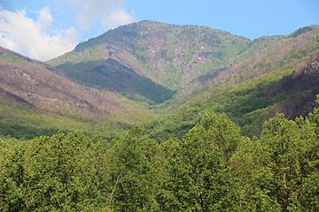 Mount LeConte viewed from Carlos Campbell Overlook, May 2017.jpg