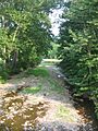 Mouth of Plunketts Creek