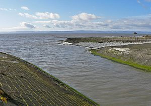 Mouth of the River Thaw. - geograph.org.uk - 1190462