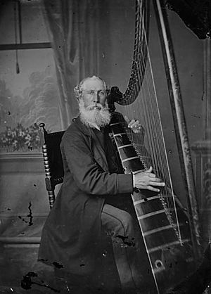 Mr Roberts, Newtown Harpist NLW3361216 (cropped)