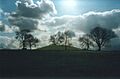 Navan Fort, County Armagh - geograph.org.uk - 43871