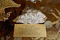 Ocean-water-logged Wax near Neahkahnie, wax cargo found at Manzanita Beach - Mount Angel Abbey Museum - Mount Angel Abbey - Mount Angel, Oregon - DSC09959