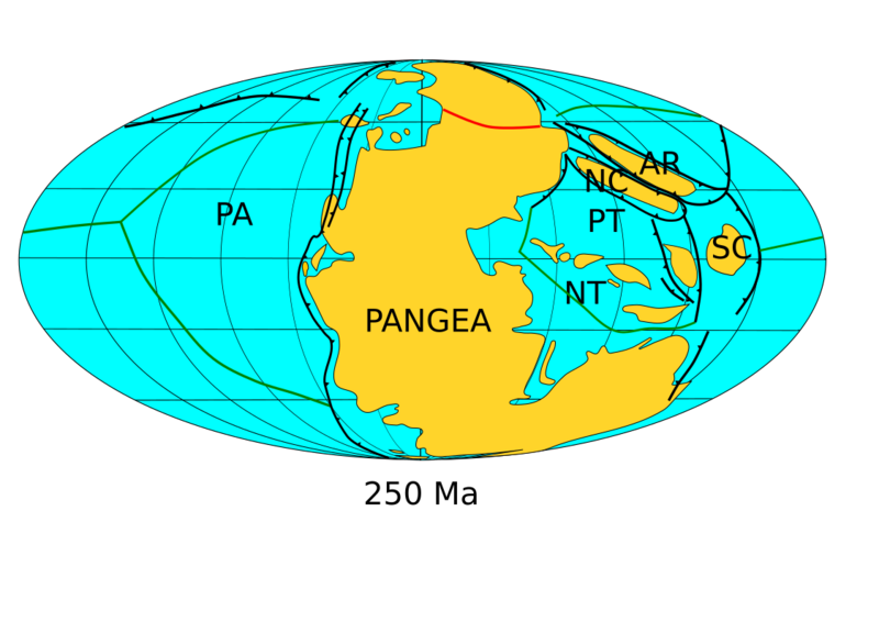 Pangea assembly 250