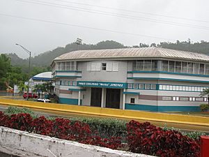 Parque de Pelota Edelmiro “Mirito” Jiménez en Barrio Lares, Lares, Puerto Rico