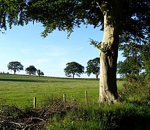 Pitgaveny - geograph.org.uk - 1368909