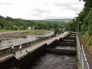 Pitlochry Fish-ladder