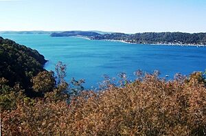 Pittwater from Ku-Ring-Gai Chase National Park