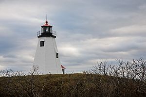 Plymouth Light, or Gurnet Light 2008.jpg