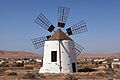 Puerto del Rosario Llanos de la Concepción - windmill(6) 02 ies