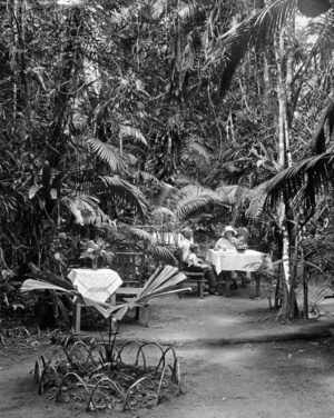 Queensland State Archives 1244 The Gardens Fairyland Kuranda NQ c 1935