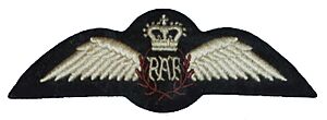 RAF pilot brevet (Queen's Crown)