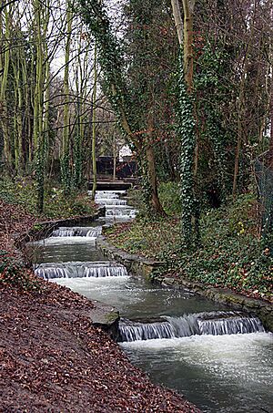 River Ver - geograph.org.uk - 630121