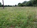 Riverside House Meadow 1