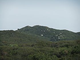 San Mateo Peak.JPG