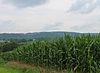 Scenery of Mahoning Township, Montour County, Pennsylvania.JPG