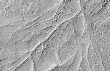 Sinuous Ridges in Medusae Formation