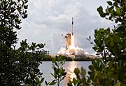 SpaceX Demo-2 Launch (NHQ202005300062)