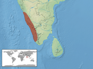 Sphenomorphus dussumieri distribution (RDB).png