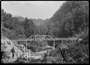 Tangarakau Gorge, a road bridge and grave site. ATLIB 286519
